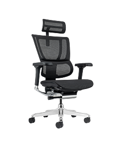 Ергономичен стол ERGOHUMAN ELITE 2 - черна рамка - черен (3520659)