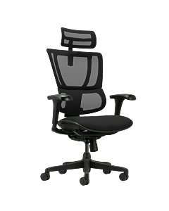 Ергономичен стол ERGOHUMAN IOO BUDGET 2 - черна рамка - черен (3520680)