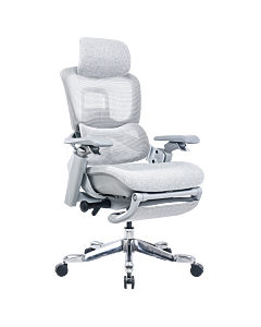 Ергономичен стол DOLE W - сив (3520565)