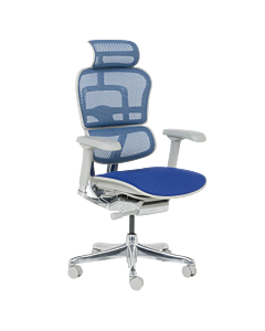 Ергономичен стол ERGOHUMAN ELITE 2 - сива рамка - син (3520664)