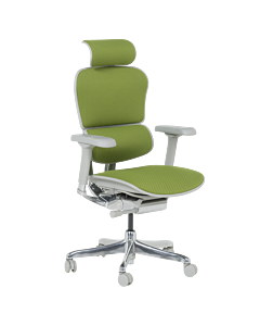 Ергономичен стол ERGOHUMAN ELITE 2 - сива рамка - зелен (3520666)