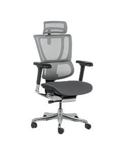 Ергономичен стол ERGOHUMAN IOO ELITE 2 - черна рамка - сив (3520668)