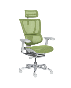 Ергономичен стол ERGOHUMAN IOO ELITE 2 - сива рамка - зелен (3520670)