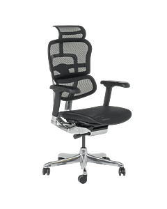 Ергономичен стол ERGOHUMAN ELITE 2 - черна рамка - черен (3520660)