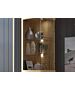LED CLIPS_2PKT осв.CORV02,03,04,SNNV02,CTUV01,03  (088.002.0049)